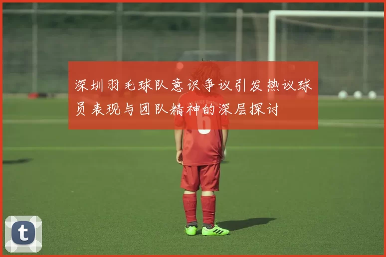 深圳羽毛球队意识争议引发热议球员表现与团队精神的深层探讨