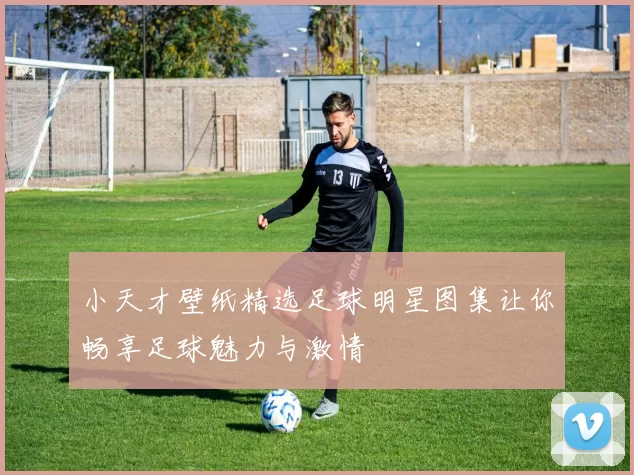 小天才壁纸精选足球明星图集让你畅享足球魅力与激情
