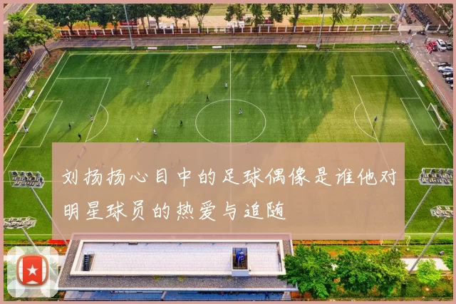刘扬扬心目中的足球偶像是谁他对明星球员的热爱与追随