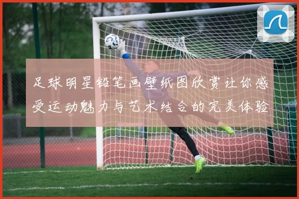 足球明星铅笔画壁纸图欣赏让你感受运动魅力与艺术结合的完美体验