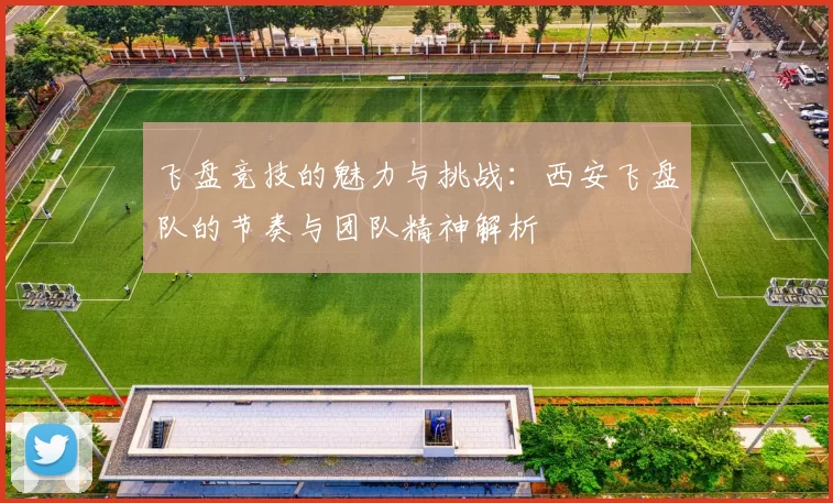 飞盘竞技的魅力与挑战：西安飞盘队的节奏与团队精神解析
