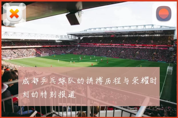 成都乒乓球队的拼搏历程与荣耀时刻的特别报道