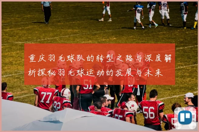 重庆羽毛球队的转型之路与深度解析探秘羽毛球运动的发展与未来