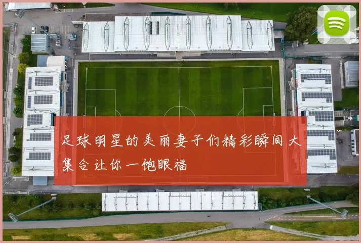 足球明星的美丽妻子们精彩瞬间大集合让你一饱眼福