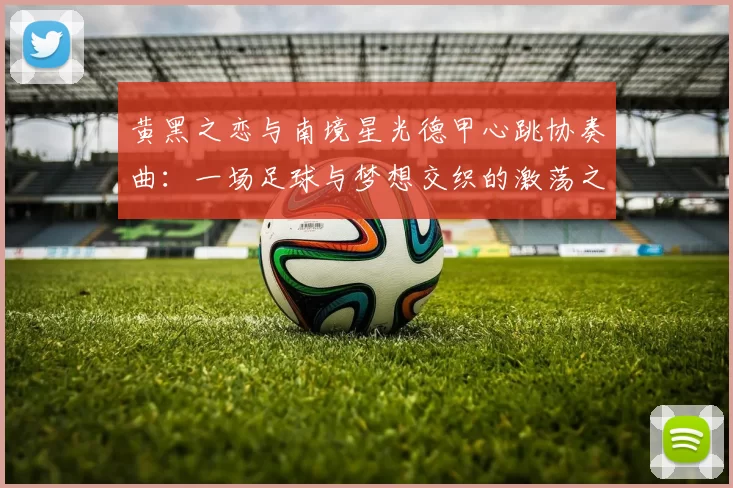 黄黑之恋与南境星光德甲心跳协奏曲：一场足球与梦想交织的激荡之旅