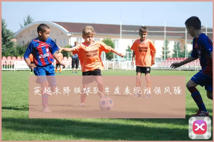 英超未降级球队年度表现谁领风骚