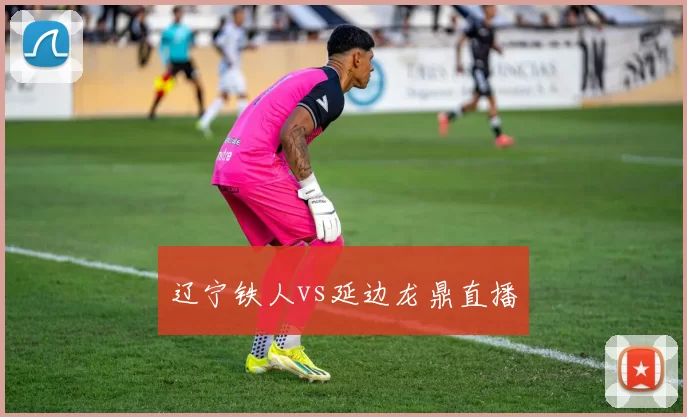 辽宁铁人vs延边龙鼎直播